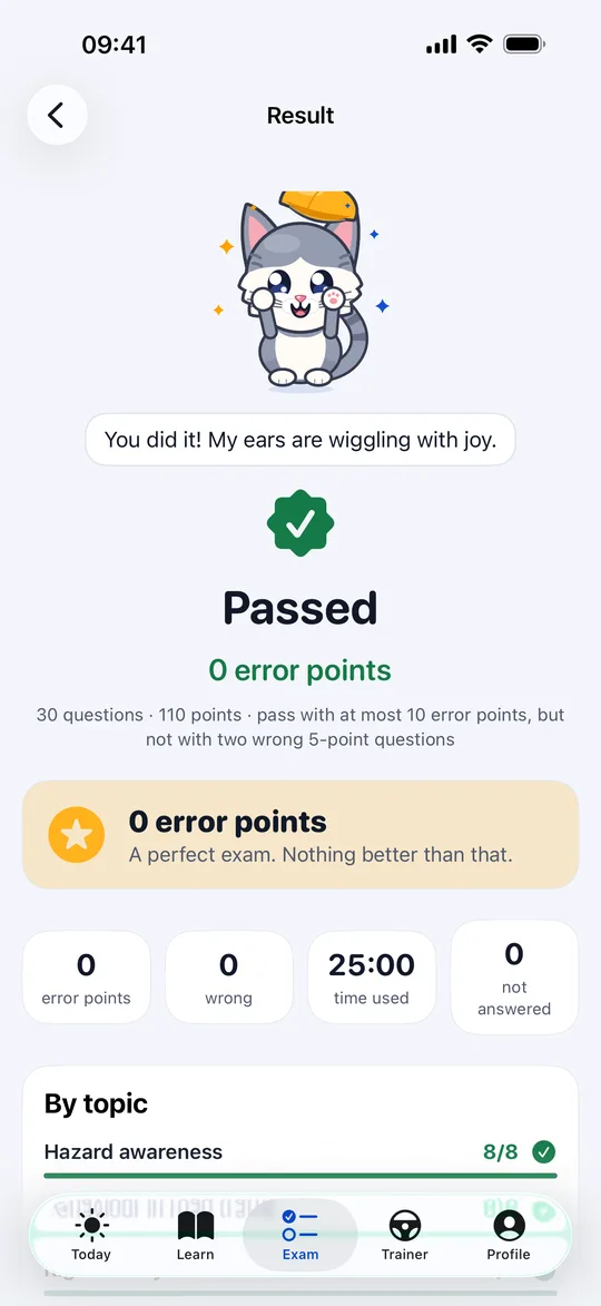 A simulation result in Nori: passed, with the error points and the result for each topic.